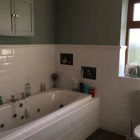 Annies Meadow. * Knock (Mayo)