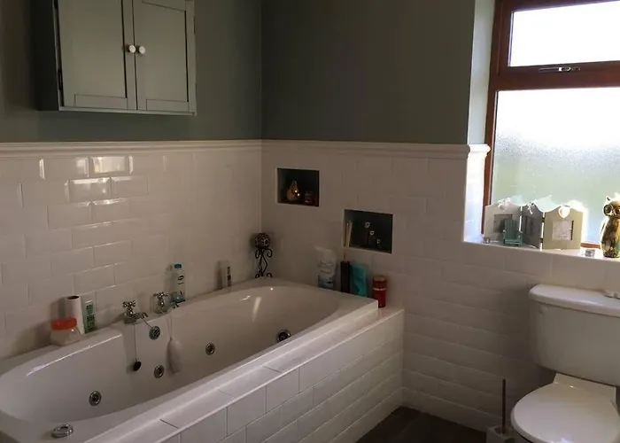 Annies Meadow. * Knock (Mayo)