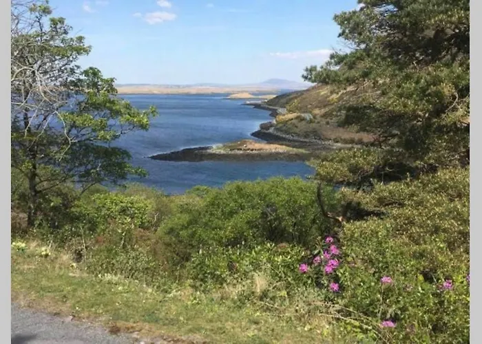 Annies Meadow. * Knock (Mayo)