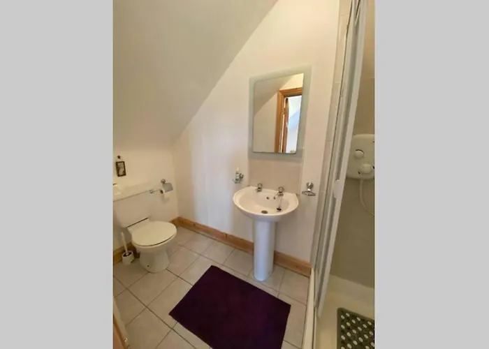 Annies Meadow. Knock (Mayo)